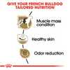 Royal Canin Breed Health Nutrition French Bulldog Adult Dry Dog Food