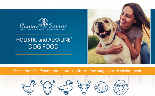 Canine Caviar Free Spirit Holistic Alkaline Entree Dry Dog Food