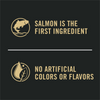 ProPlan Shredded Blend Salmon and Rice Dry Dog Food