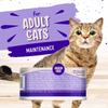 Earthborn Holistic Grain Free Chicken Fricatssee Canned Cat Food