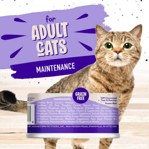 Earthborn Holistic Grain Free Chicken Fricatssee Canned Cat Food