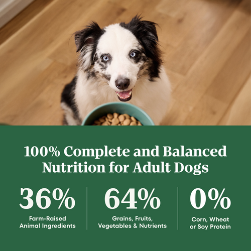 Nutro Wholesome Essentials Healthy Weight Large Breed Adult Farm-Raised Chicken, Rice & Sweet Potato Dry Dog Food