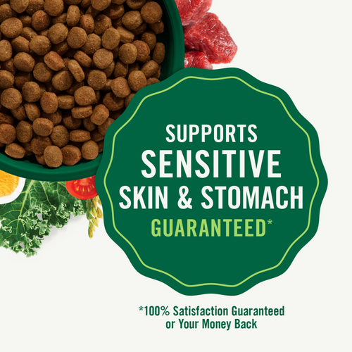 Nutro Wholesome Essentials Healthy Weight Adult Farm-Raised Chicken, Lentils & Sweet Potato Dry Dog Food