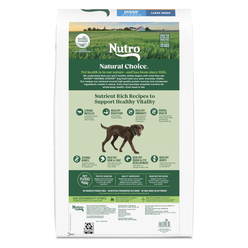 Nutro Wholesome Essentials Large Breed Puppy Farm-Raised Chicken, Brown Rice & Sweet Potato Dry Dog Food
