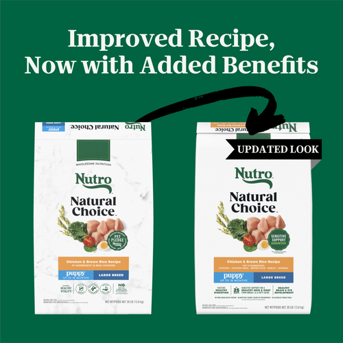 Nutro Wholesome Essentials Large Breed Puppy Farm-Raised Chicken, Brown Rice & Sweet Potato Dry Dog Food