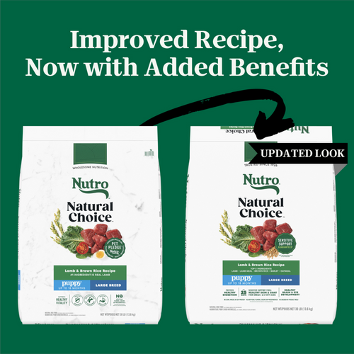 Nutro Wholesome Essentials Large Breed Puppy Pasture-Fed Lamb & Rice Dry Dog Food