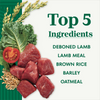 Nutro Wholesome Essentials Small Bites Adult Pasture-Fed Lamb & Rice Dry Dog Food