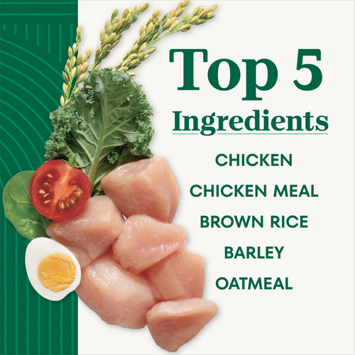 Nutro Natural Choice Puppy Chicken and Brown Rice Recipe Dry Dog Food