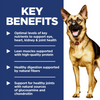 Hill's Science Diet Adult 6+ LG Breed Chicken Meal, Rice, & Barley Recipe Dry Dog Food