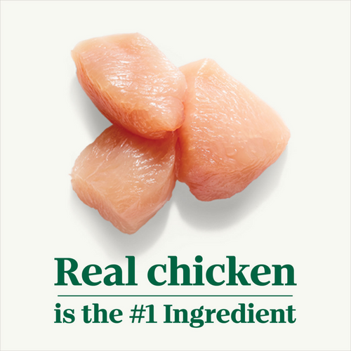 Nutro Puppy Tender Chicken & Rice Recipe Cuts In Gravy Dog Food Trays