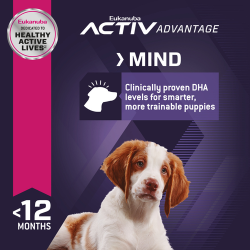 Eukanuba Medium Breed Dry Puppy Food