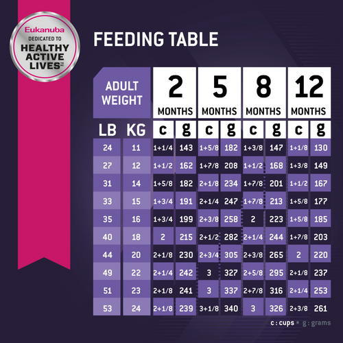 Eukanuba Medium Breed Dry Puppy Food