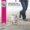 Eukanuba Medium Breed Dry Puppy Food