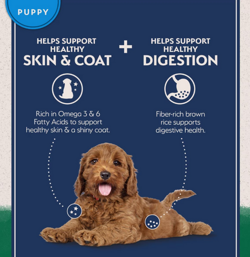 Natural Balance Limited Ingredient Puppy Dry Dog Food, Lamb & Brown Rice Recipe