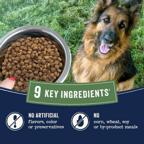 Canidae Pure Farm To Bowl Senior Free-Range Chicken, Sweet Potato & Garbanzo Bean Recipe Dog Food