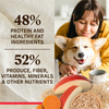 Merrick Healthy Grains Beef and Brown Rice Adult Dry Dog Food