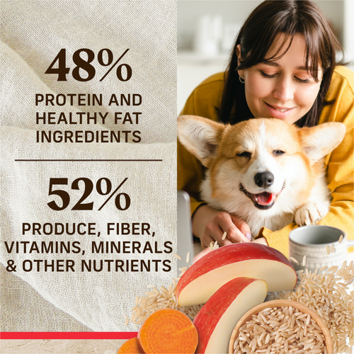 Merrick Healthy Grains Beef and Brown Rice Adult Dry Dog Food