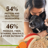 Merrick Healthy Grains Lamb and Brown Rice Adult Dry Dog Food