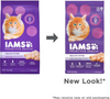 Iams ProActive Health Kitten Chicken Recipe Dry Cat Food