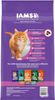 Iams ProActive Health Kitten Chicken Recipe Dry Cat Food