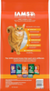 Iams ProActive Health Hairball Care Recipe Dry Cat Food