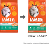 Iams ProActive Health Hairball Care Recipe Dry Cat Food