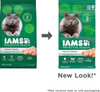 Iams ProActive Health Lively Senior 11+ Chicken Recipe Dry Cat Food