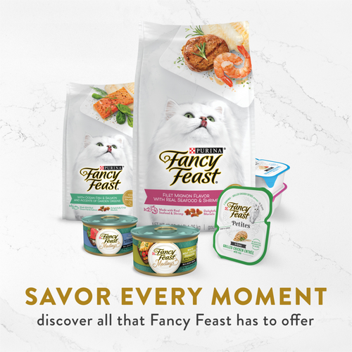 Fancy Feast Classic Broths Wild Salmon and Vegetables Wet Cat Food
