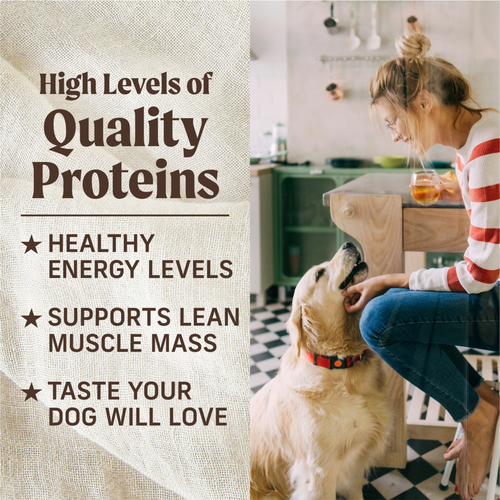 Merrick Lil' Plates Adult Small Breed Grain Free Itsy Bitsy Beef Stew Canned Dog Food