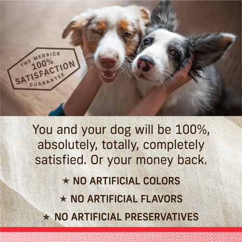 Merrick Lil' Plates Adult Small Breed Grain Free Itsy Bitsy Beef Stew Canned Dog Food