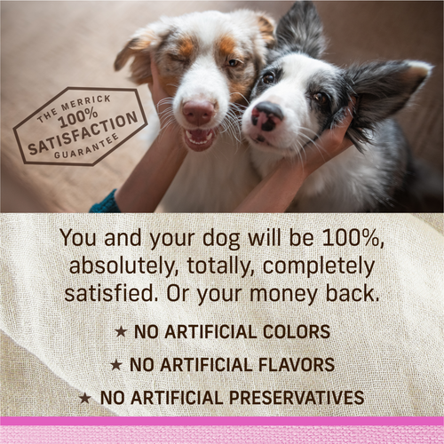 Merrick Lil' Plates Adult Small Breed Grain Free Tiny Thanksgiving Day Dinner Canned Dog Food