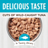 Instinct Healthy Cravings Grain Free Tuna Wet Cat Food Topper