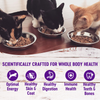 Wellness Healthy Indulgence Natural Grain Free Morsels with Chicken and Chicken Liver in Savory Sauce Cat Food Pouch