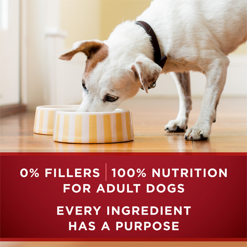One True Instinct Tender Cuts in Gravy Chicken and Duck Wet Dog Food