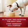 One True Instinct Grain Free Chicken and Duck Wet Dog Food