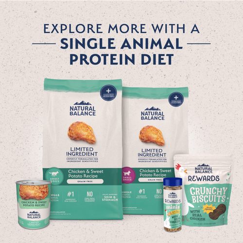Natural Balance Limited Ingredient Grain Free Dry Dog Food for Small Breeds, Chicken & Sweet Potato Recipe