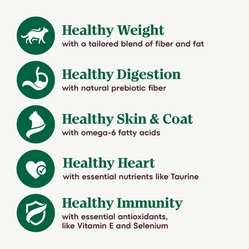 Nutro Wholesome Essentials Indoor Chicken and Brown Rice Recipe Adult  Dry Cat Food