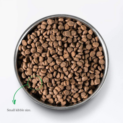 Open Farm Grain Free Wild Caught Salmon Dry Cat Food