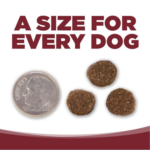 NutriSource Beef & Brown Rice Recipe Dry Dog Food