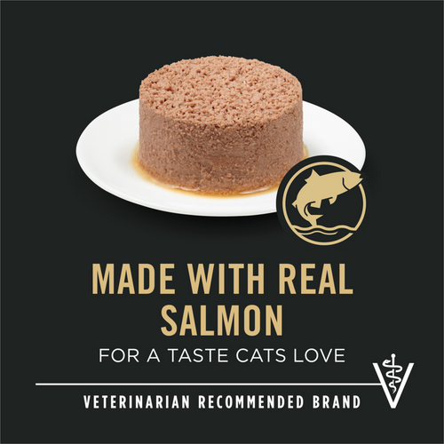 ProPlan Urinary Tract Health Salmon Wet Cat Food