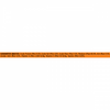 ProPlan Chicken in Gravy Wet Cat Food