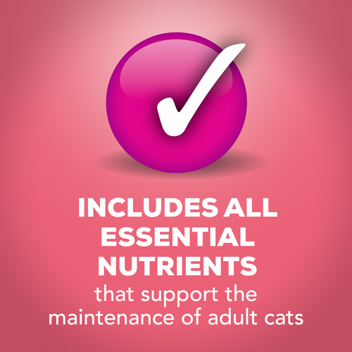 Friskies Extra Gravy Chunky Salmon Wet Cat Food