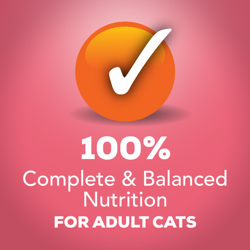 Friskies Extra Gravy Chunky Salmon Wet Cat Food