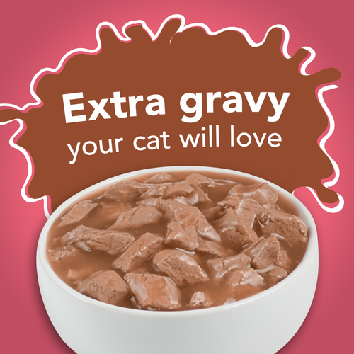 Friskies Extra Gravy Chunky Salmon Wet Cat Food