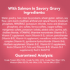 Friskies Extra Gravy Chunky Salmon Wet Cat Food