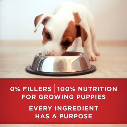 One Healthy Puppy Ground Lamb and Rice Wet Puppy Food