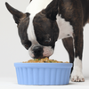 Open Farm Rustic Stew Herring and Mackerel Wet Dog Food