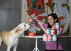 Against the Grain Nothing Else Grain Free One Ingredient 100% Duck Canned Dog Food