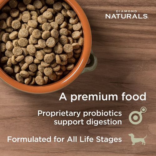 Diamond Naturals Skin & Coat Formula All Life Stages Dry Dog Food