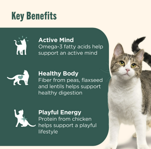 Rachael Ray Nutrish Indoor Complete Chicken & Salmon with Lentils Recipe Dry Cat Food